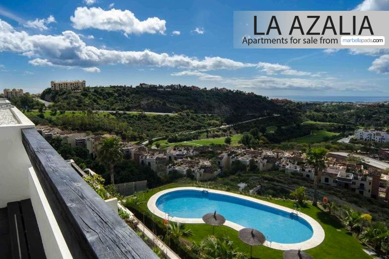 La Azalia views